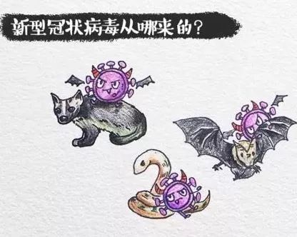 揭秘新病毒，最新动态一网打尽！