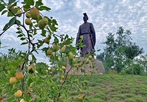瓜蒌最新行情，自然美景下的旅行探索