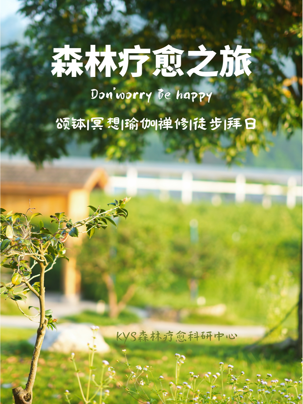 养森最新探索，自然美景的治愈之旅