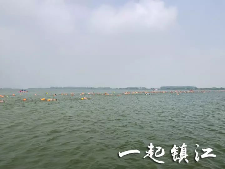 金山湖，寻求发展与保护的平衡点，最新动态概览