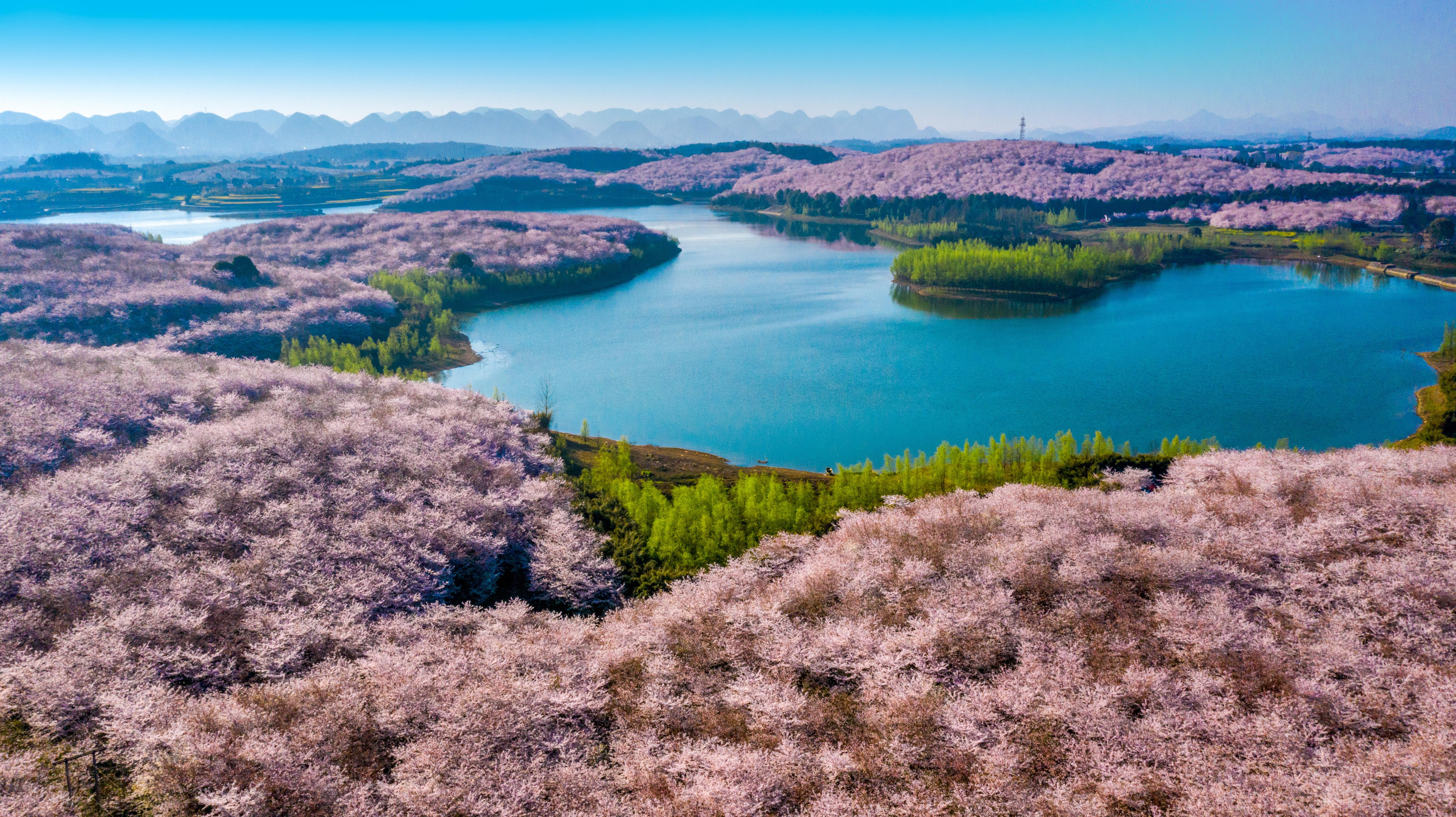 武汉旅行指南，探索城市最新情景，体验生活魅力