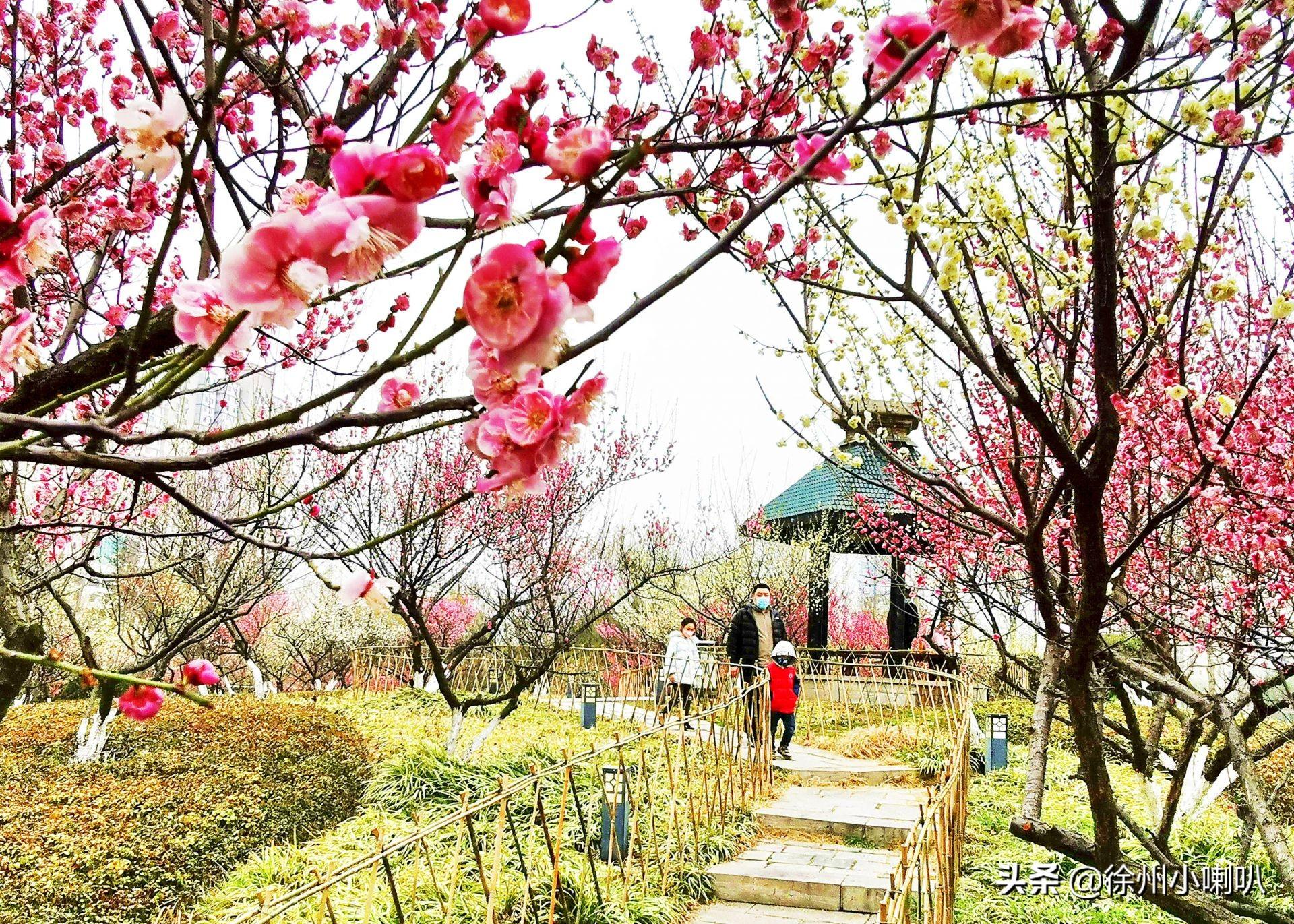 江阴最新肺炎背景下的自然之旅，探寻内心宁静与平和