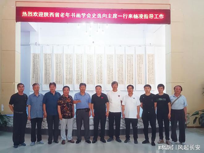 杨凌最新动态及观点阐述