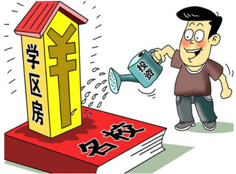 义乌最新人事任免，多方观点分析与个人立场阐述的探讨