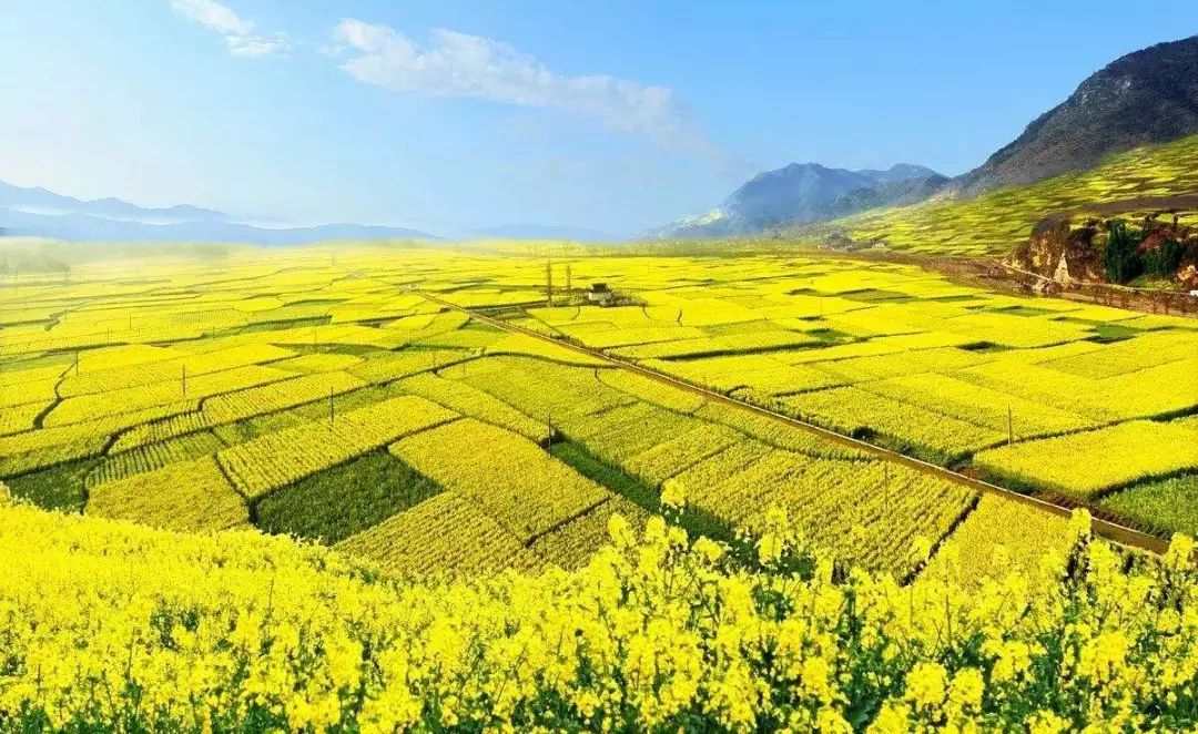 棉短绒最新价格，自然美景下的旅行探索之旅