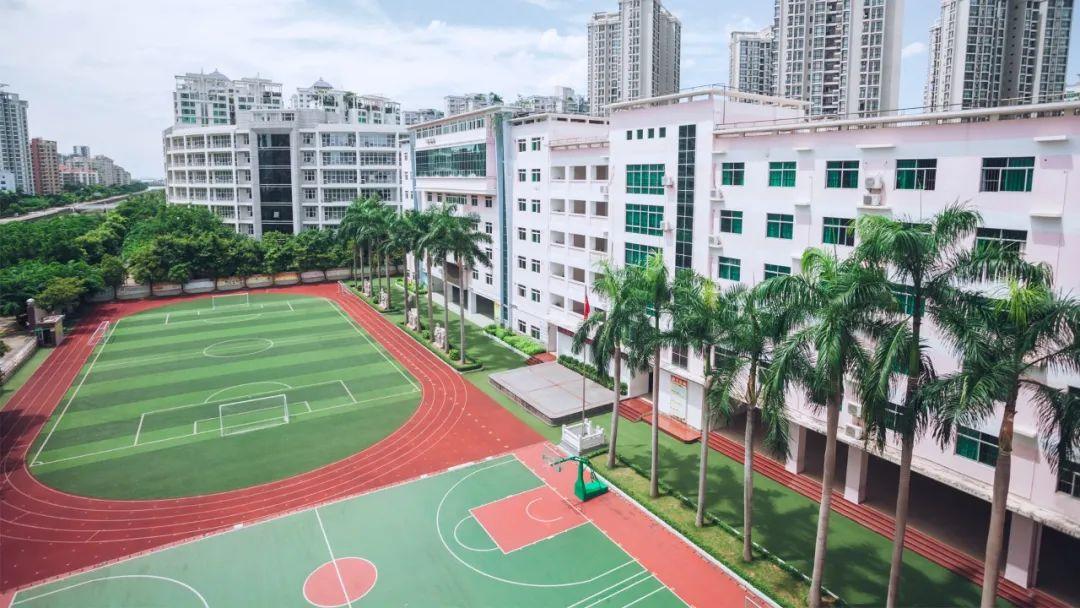 海口房价最新动态全解析，全面指南