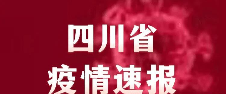 四川省疫情最新论述与动态更新