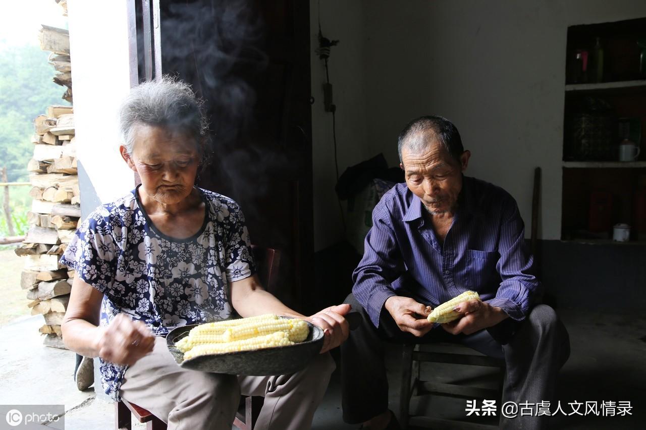 辽宁玉米价格最新行情，与自然美景的邂逅，寻找内心的宁静
