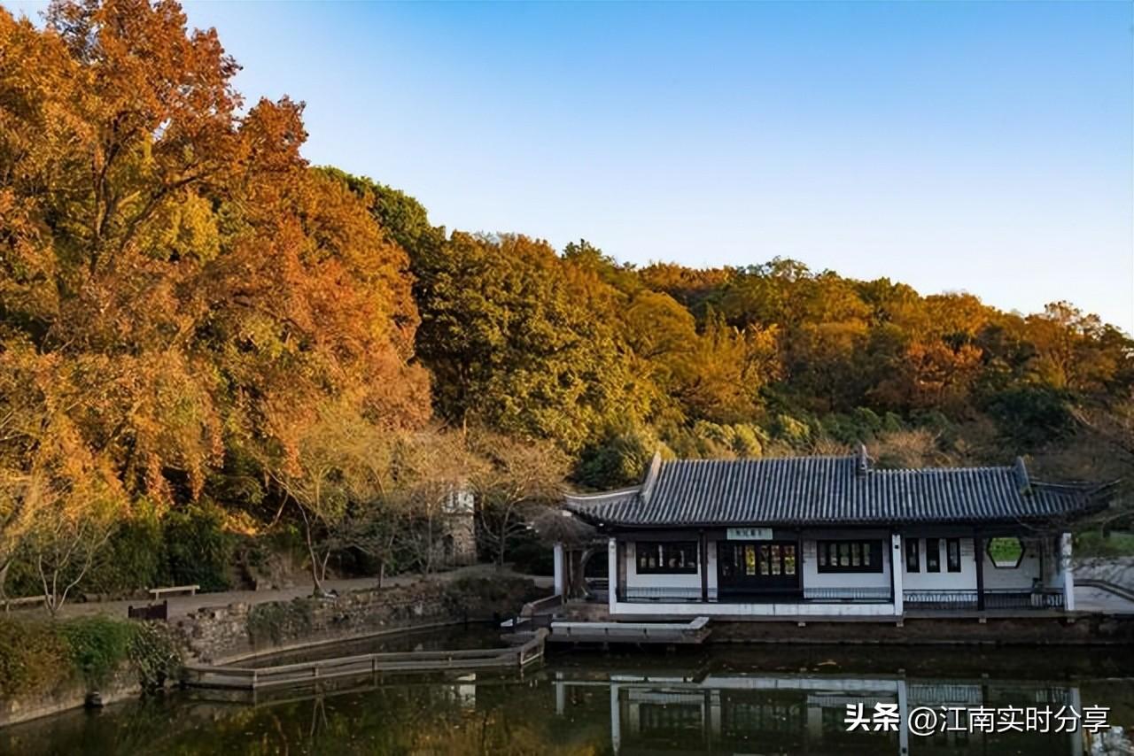 苹果最新蓝牙耳机探秘，小巷中的音乐宝藏之旅