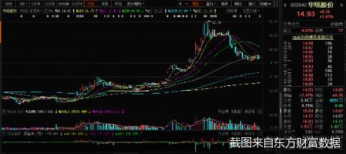 华统股份最新动态及小巷独特风味探秘