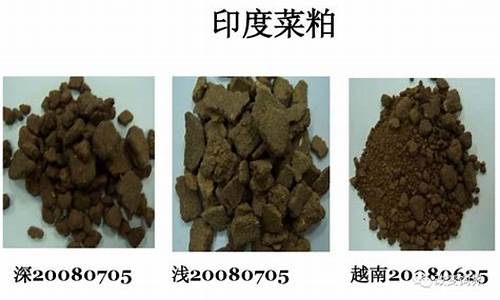 今日菜粕最新价格获取与理解指南