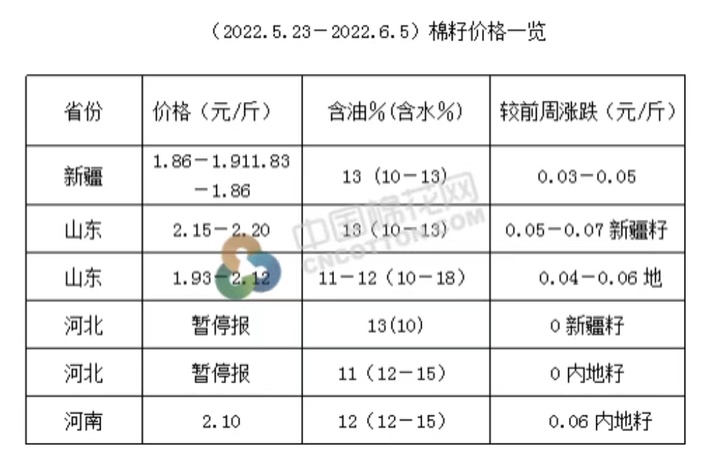 今日棉籽最新价格及小巷深处的特色小店探秘