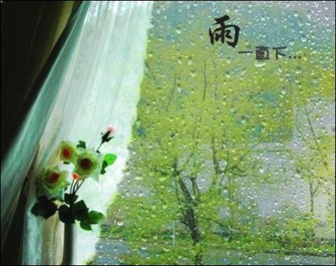 最新款美图回顾，背景、影响与地位探析