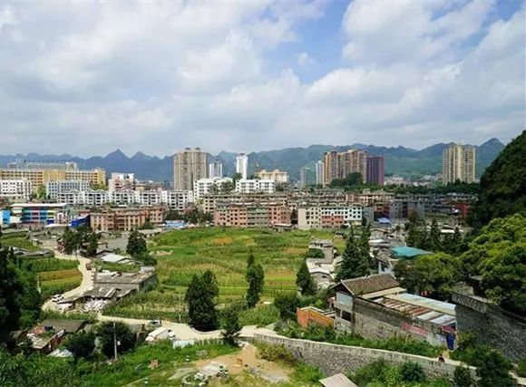 织金最新动态更新，最新消息汇集