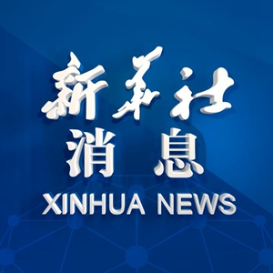 ISIS最新动态与全球影响，极端组织ISIS的最新消息揭示