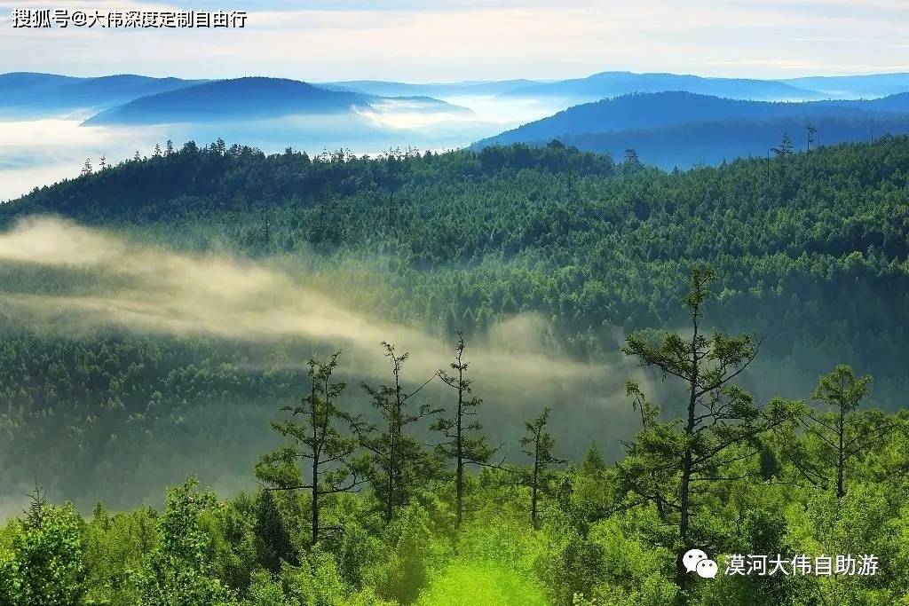 大兴安岭新闻最新动态，探寻小巷独特风味