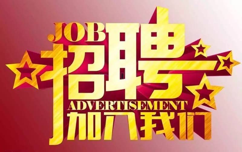 新郑最新招聘信息网，求职步骤指南与招聘信息一网打尽