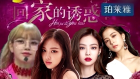 弦子最新歌曲，小巷深处的音乐宝藏与独特风味小店的魅力探秘