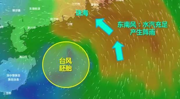 珠海台风最新动态，全面关注与应对措施