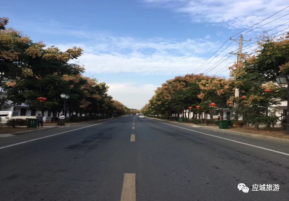 武陟县最新动态，暖阳下的日常趣事