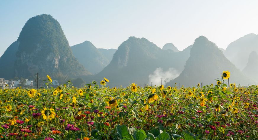 自然美景探索之旅 第12页