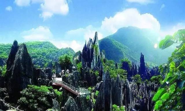 云南旅游最新消息概览，最新动态与资讯汇总