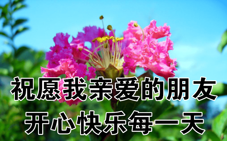 最新早上好动图，与自然美景的浪漫邅遇
