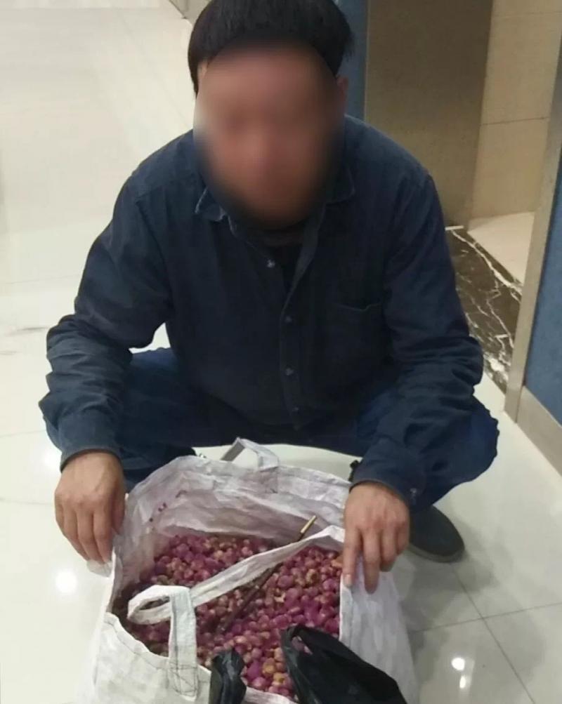 湖州诈骗最新动态，深度分析与个人观点总结
