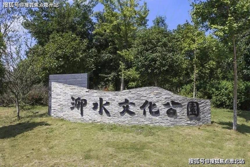 最新蛇片，深度观点阐述与分析