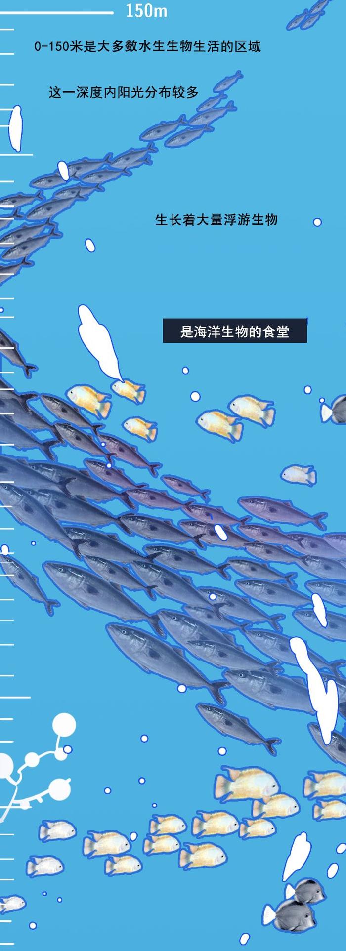 跃入知识海洋，探索无限可能的1024最新地址社区