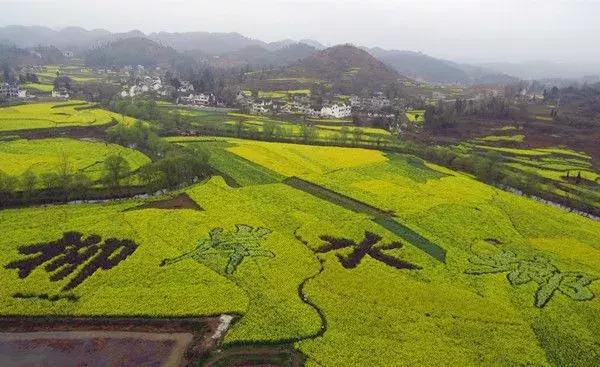 黔西最新地图论述及解析