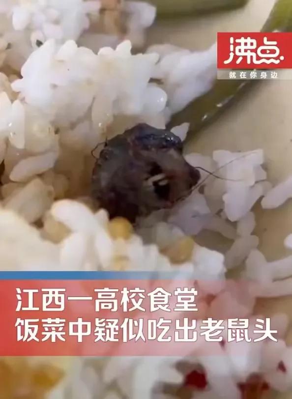 鸭脖事件最新进展，科技重塑食品安全，智能监测器引领新时代新篇章